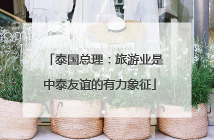 泰国总理：旅游业是中泰友谊的有力象征