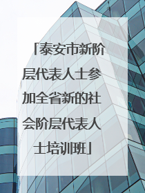 泰安市新阶层代表人士参加全省新的社会阶层代表人士培训班