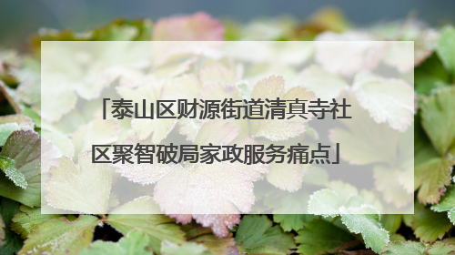 泰山区财源街道清真寺社区聚智破局家政服务痛点