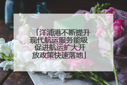 洋浦港不断提升现代航运服务能级 促进航运扩大开放政策快速落地