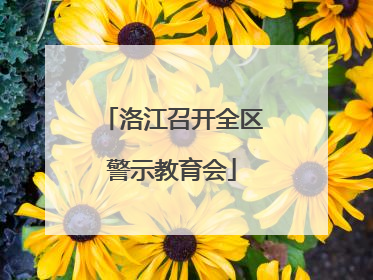洛江召开全区警示教育会