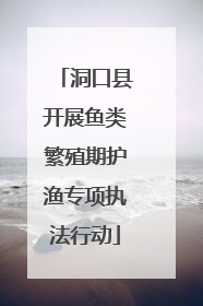 洞口县开展鱼类繁殖期护渔专项执法行动