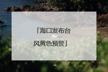 海口发布台风黄色预警