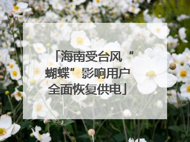 海南受台风“蝴蝶”影响用户全面恢复供电