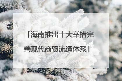 海南推出十大举措完善现代商贸流通体系
