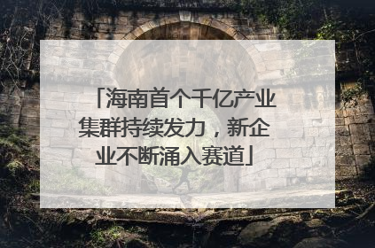 海南首个千亿产业集群持续发力，新企业不断涌入赛道