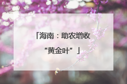 海南：助农增收 “黄金叶”