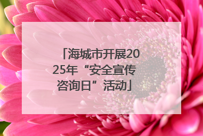 海城市开展2025年“安全宣传咨询日”活动