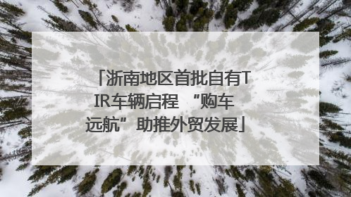 浙南地区首批自有TIR车辆启程 “购车远航”助推外贸发展