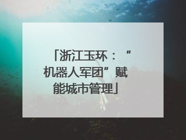 浙江玉环：“机器人军团”赋能城市管理