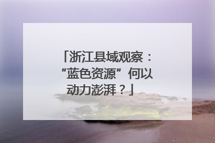 浙江县域观察：“蓝色资源”何以动力澎湃？