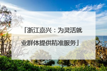 浙江嘉兴：为灵活就业群体提供精准服务
