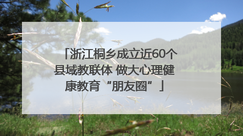浙江桐乡成立近60个县域教联体 做大心理健康教育“朋友圈”