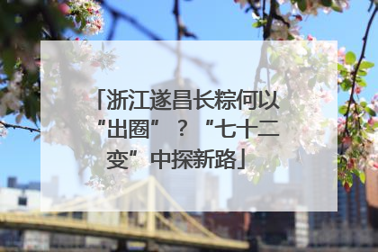 浙江遂昌长粽何以“出圈”？“七十二变”中探新路