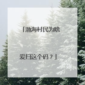 渤海村民为啥爱扫这个码？