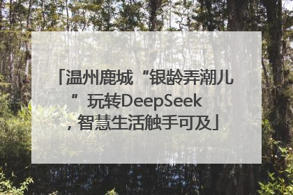 温州鹿城“银龄弄潮儿”玩转DeepSeek，智慧生活触手可及
