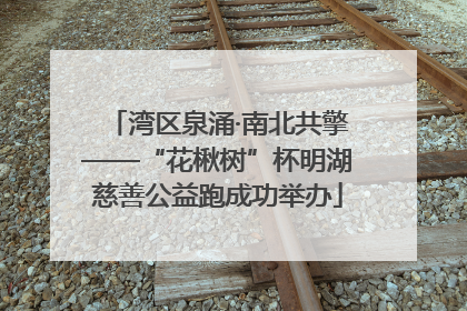 湾区泉涌·南北共擎——“花楸树”杯明湖慈善公益跑成功举办