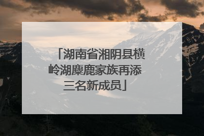 湖南省湘阴县横岭湖麋鹿家族再添三名新成员