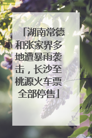 湖南常德和张家界多地遭暴雨袭击，长沙至桃源火车票全部停售