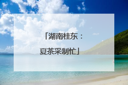 湖南桂东：夏茶采制忙