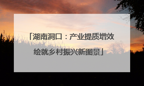 湖南洞口：产业提质增效 绘就乡村振兴新图景