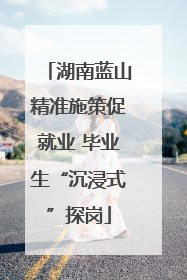 湖南蓝山精准施策促就业 毕业生“沉浸式”探岗