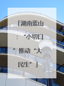 湖南蓝山：“小切口”推动“大民生”