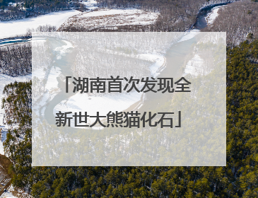 湖南首次发现全新世大熊猫化石