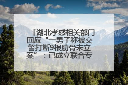 湖北孝感相关部门回应“一男子称被交警打断9根肋骨未立案”：已成立联合专班开展工作