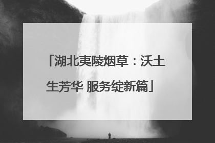 湖北夷陵烟草：沃土生芳华 服务绽新篇