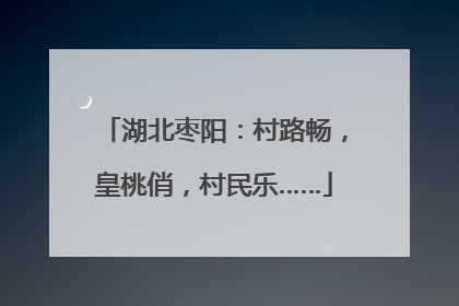 湖北枣阳：村路畅，皇桃俏，村民乐……