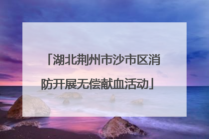 湖北荆州市沙市区消防开展无偿献血活动