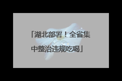 湖北部署！全省集中整治违规吃喝