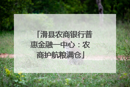 滑县农商银行普惠金融一中心：农商护航粮满仓