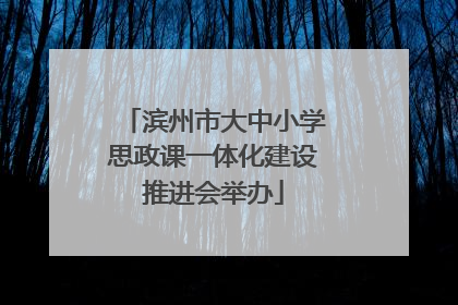 滨州市大中小学思政课一体化建设推进会举办