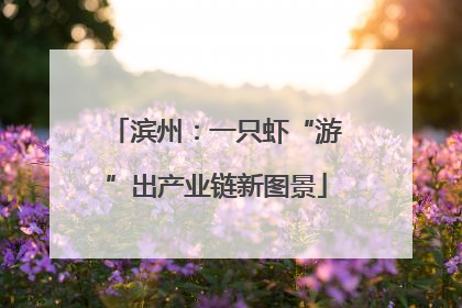 滨州：一只虾“游”出产业链新图景