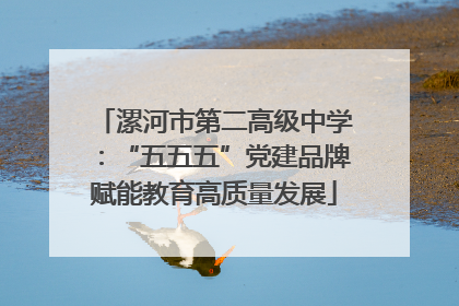 漯河市第二高级中学：“五五五”党建品牌赋能教育高质量发展