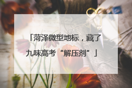 菏泽微型地标，藏了九味高考“解压剂”