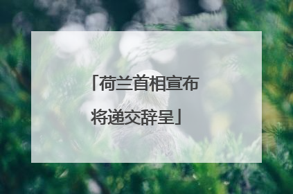 荷兰首相宣布将递交辞呈