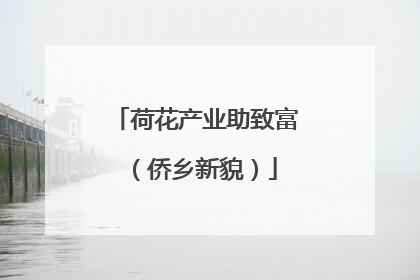 荷花产业助致富（侨乡新貌）
