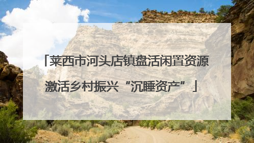 莱西市河头店镇盘活闲置资源 激活乡村振兴“沉睡资产”