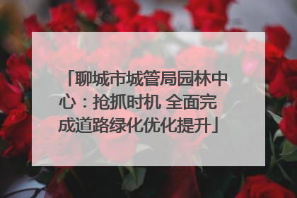 聊城市城管局园林中心：抢抓时机 全面完成道路绿化优化提升