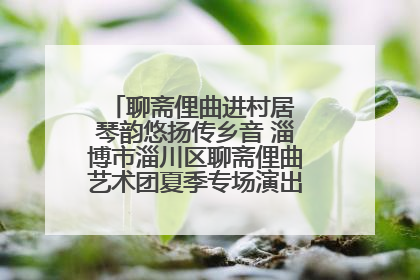 聊斋俚曲进村居 琴韵悠扬传乡音 淄博市淄川区聊斋俚曲艺术团夏季专场演出在杏园子村举行