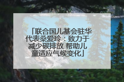联合国儿基会驻华代表桑爱玲：致力于减少碳排放 帮助儿童适应气候变化