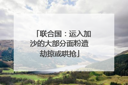 联合国：运入加沙的大部分面粉遭劫掠或哄抢