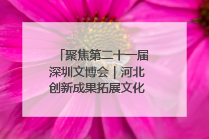 聚焦第二十一届深圳文博会｜河北创新成果拓展文化产业“朋友圈”