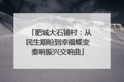 肥城大石铺村：从民生期盼到幸福蝶变奏响振兴交响曲