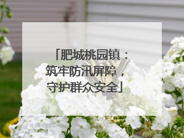 肥城桃园镇：筑牢防汛屏障，守护群众安全