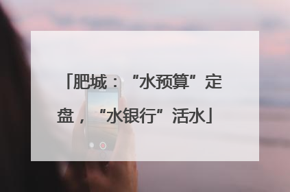 肥城：“水预算”定盘，“水银行”活水