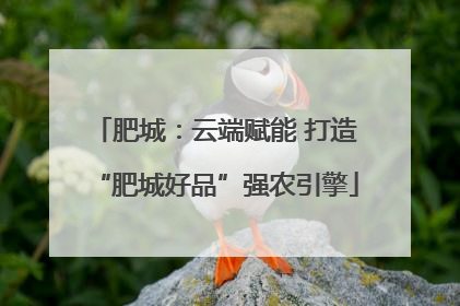 肥城：云端赋能 打造“肥城好品”强农引擎